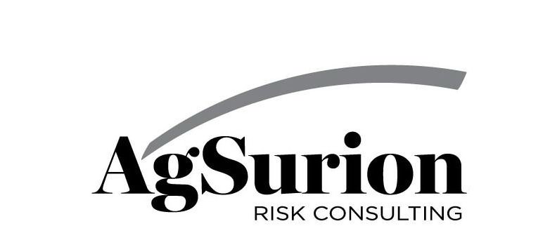  AGSURION RISK CONSULTING