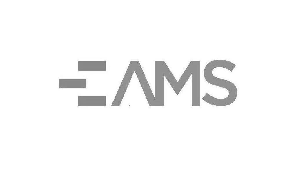 Trademark Logo AMS