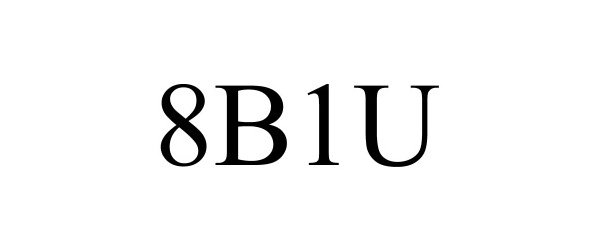  8B1U