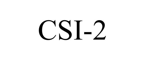 CSI-2