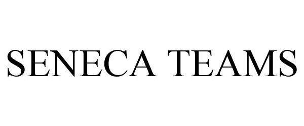Trademark Logo SENECA TEAMS