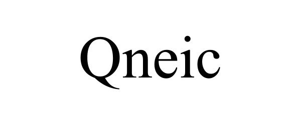  QNEIC