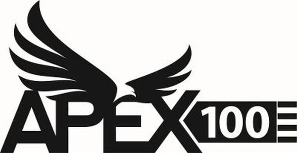 Trademark Logo APEX 100