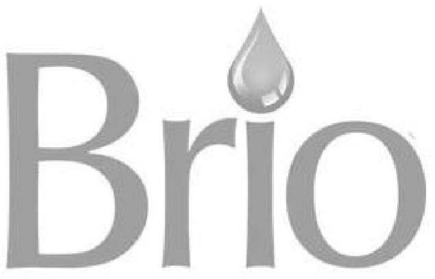 Trademark Logo BRIO