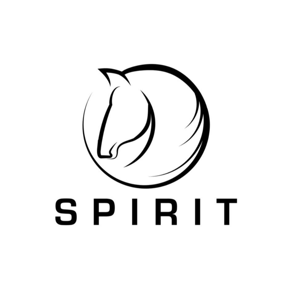 Trademark Logo SPIRIT