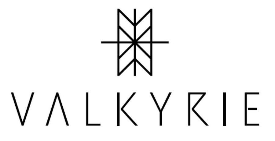 Trademark Logo VALKYRIE