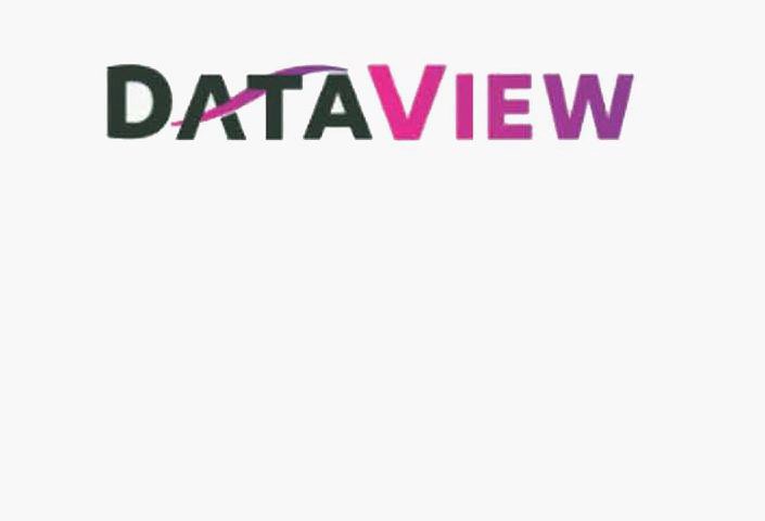 Trademark Logo DATAVIEW