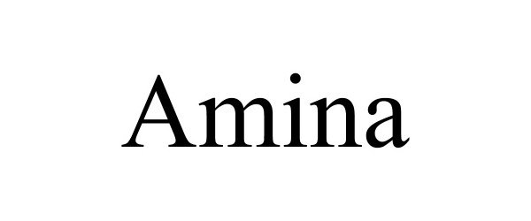 Trademark Logo AMINA