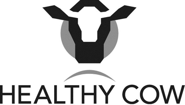  HEALTHY COW