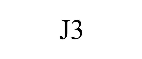  J3