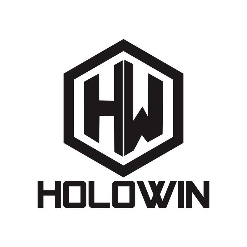 Trademark Logo HW HOLOWIN
