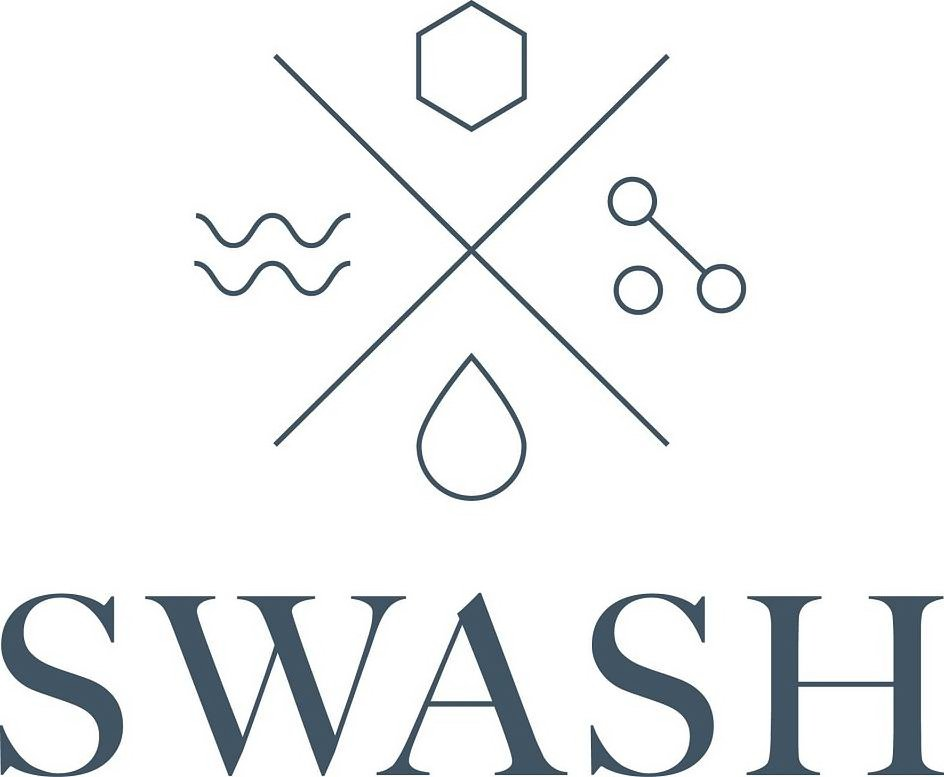  SWASH