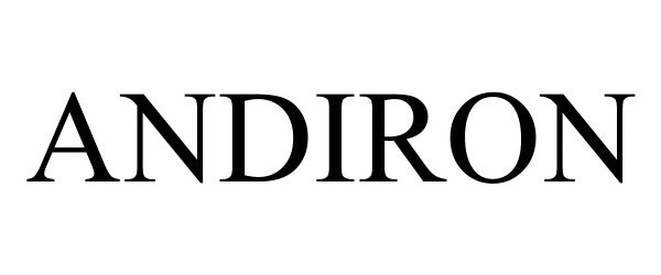 Trademark Logo ANDIRON