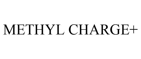  METHYL CHARGE+