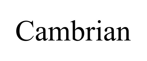 Trademark Logo CAMBRIAN