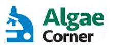 Trademark Logo ALGAE CORNER