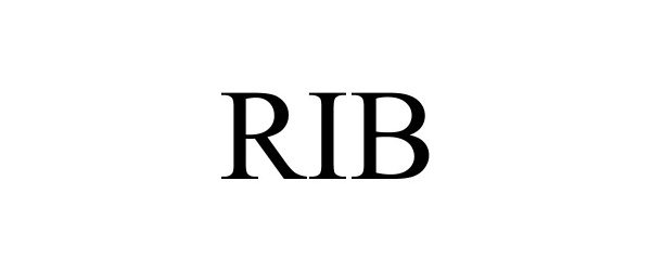  RIB