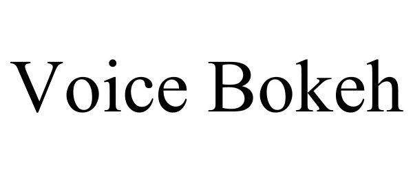 Trademark Logo VOICE BOKEH