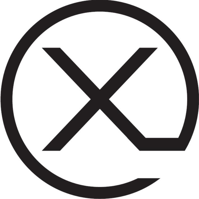 Trademark Logo X