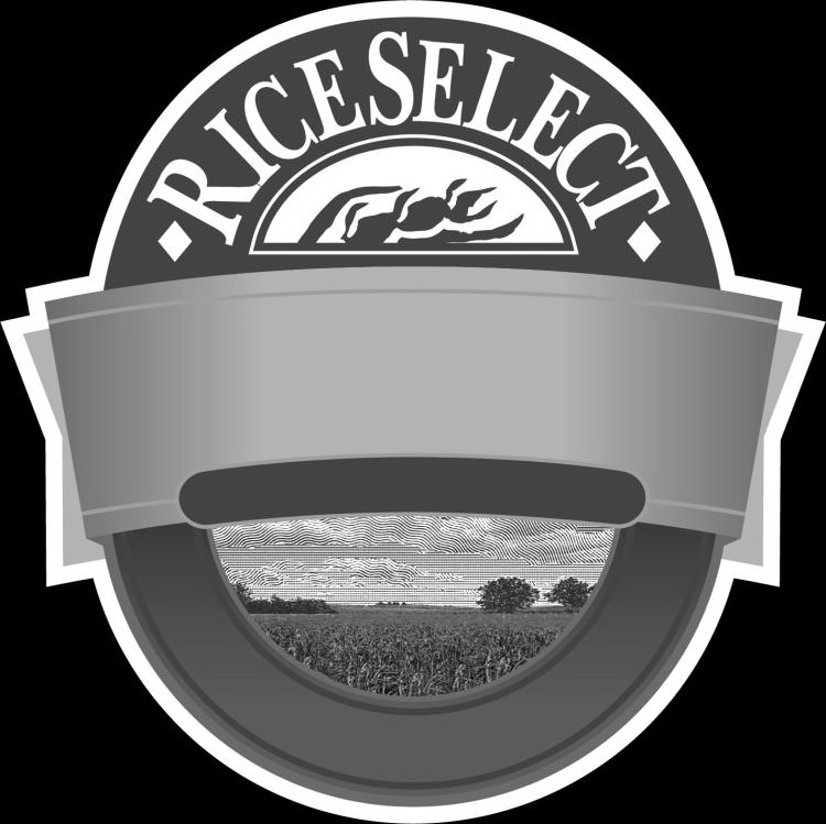  RICESELECT