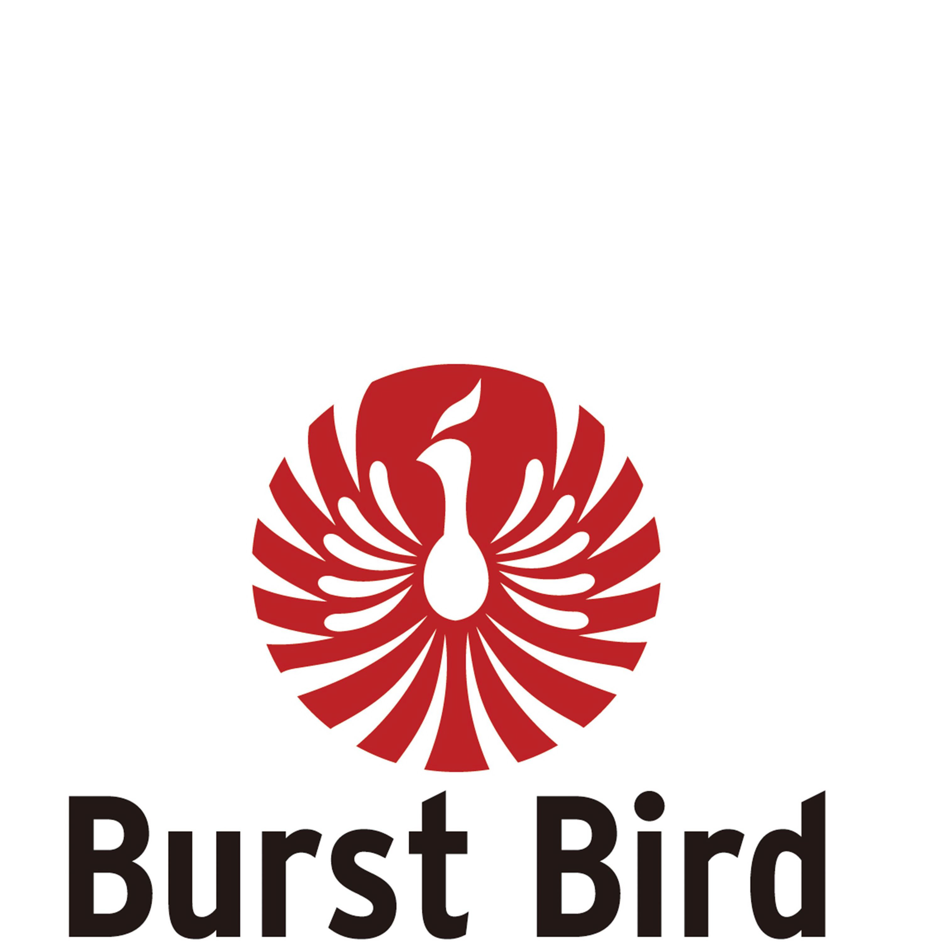  BURST BIRD