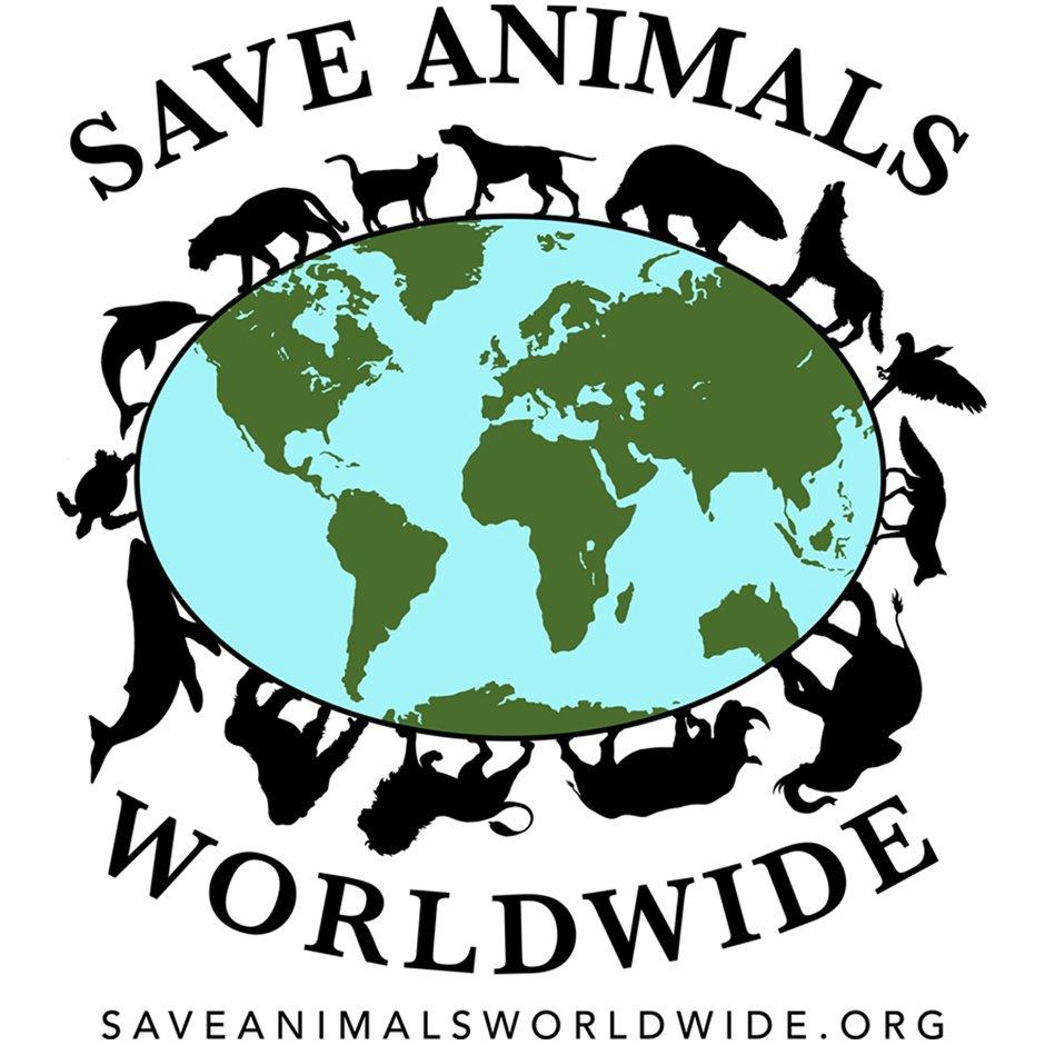 Drawing for Save Animals Worldwide 