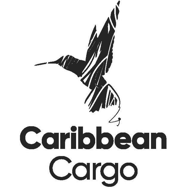  CARIBBEAN AIRLINES