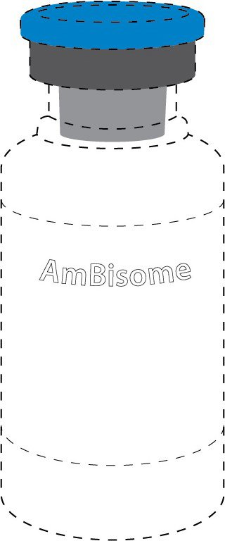Trademark Logo AMBISOME