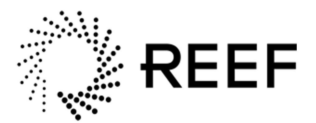 Trademark Logo REEF