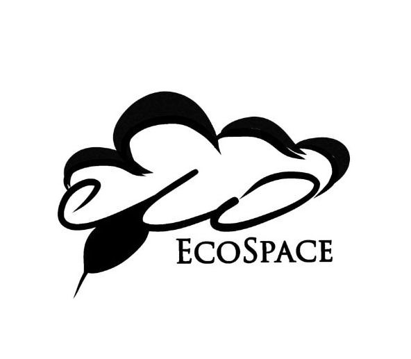 Trademark Logo ECOSPACE
