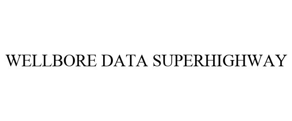 Trademark Logo WELLBORE DATA SUPERHIGHWAY