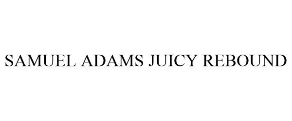  SAMUEL ADAMS JUICY REBOUND