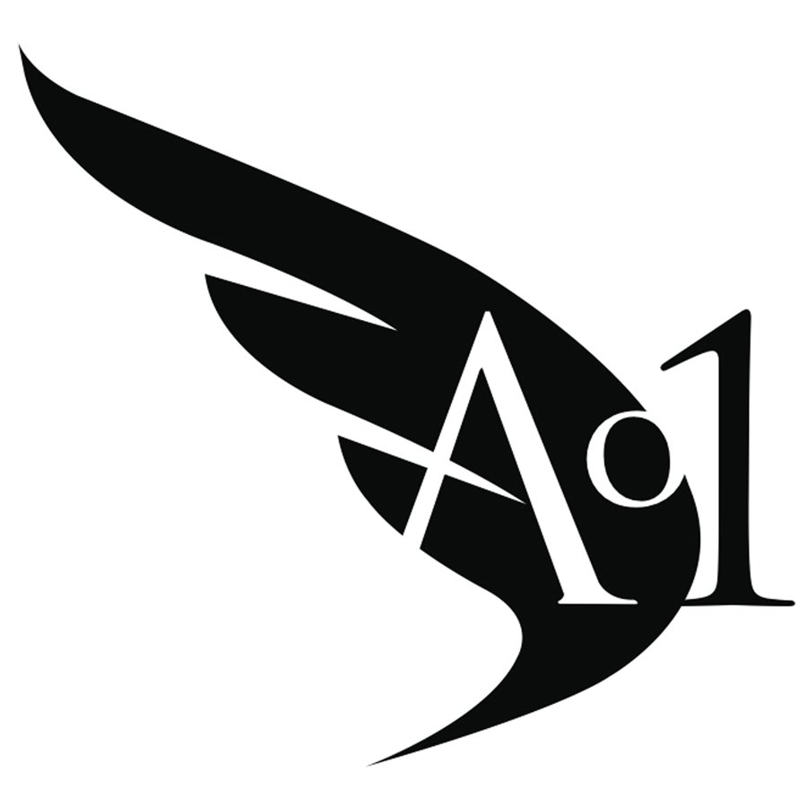  AO1