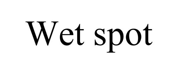 WET SPOT