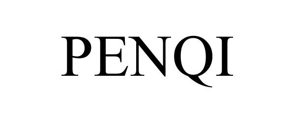  PENQI