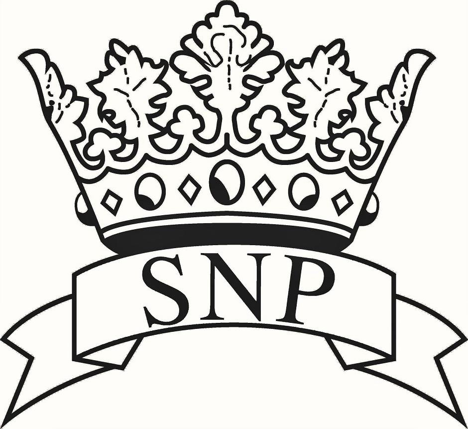 Trademark Logo SNP