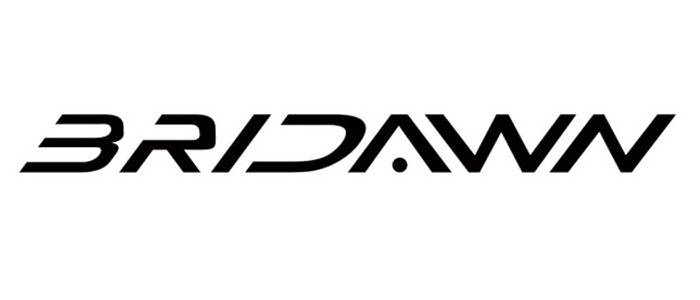 Trademark Logo BRIDAWN