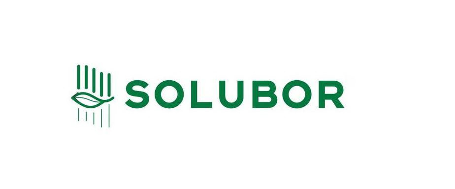 Trademark Logo SOLUBOR