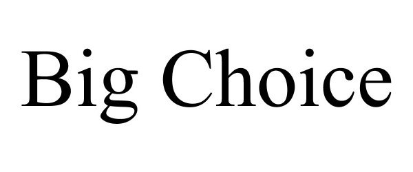 Trademark Logo BIG CHOICE