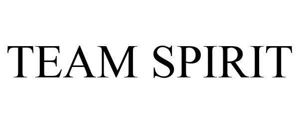 Trademark Logo TEAM SPIRIT