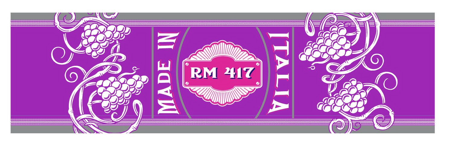 Trademark Logo RM 417 MADE IN ITALIA