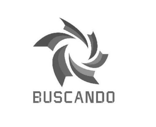  BUSCANDO