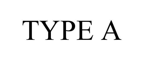  TYPE A