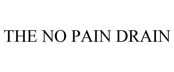 THE NO PAIN DRAIN