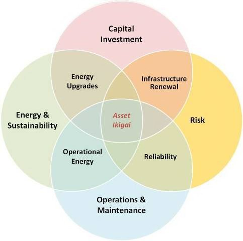  ASSET IKIGAI, CAPITAL INVESTMENT, RISK, OPERATIONS &amp; MAINTENANCE, ENERGY &amp; SUSTAINABILITY, INFRASTRUCTURE RENEWAL, RELIA