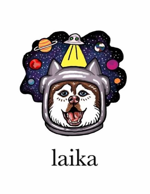 Trademark Logo LAIKA
