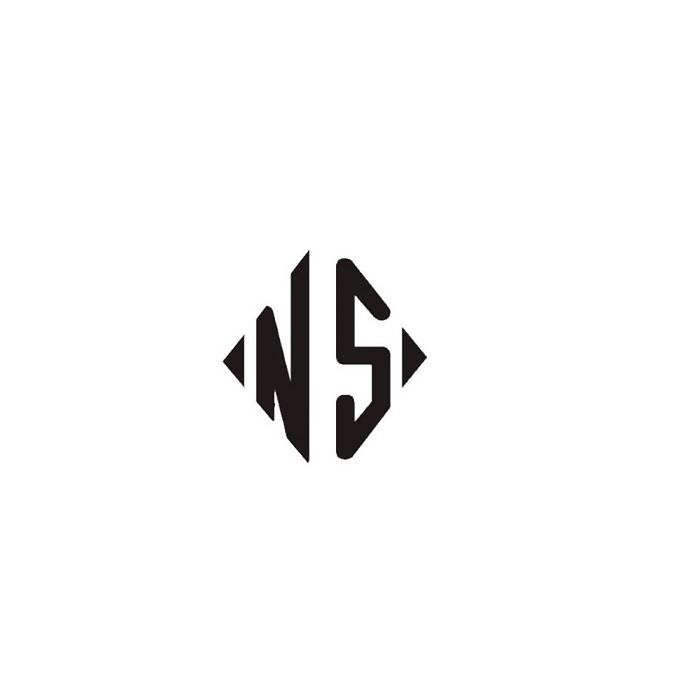 Trademark Logo N S