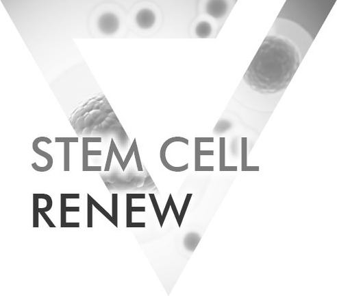 Trademark Logo STEM CELL RENEW