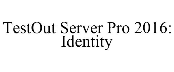 Trademark Logo TESTOUT SERVER PRO 2016: IDENTITY