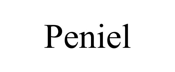 Trademark Logo PENIEL